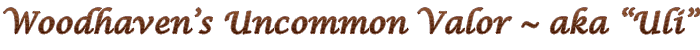 Uli title